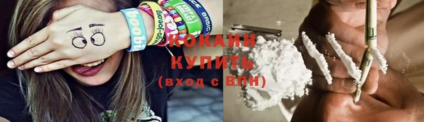 молекула духа Горняк
