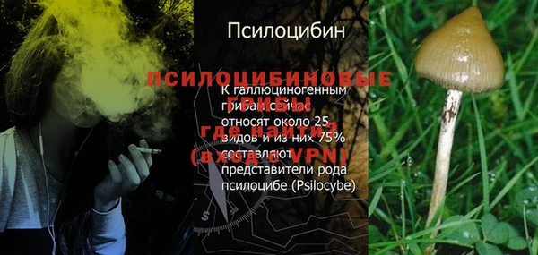 гидропоника Горно-Алтайск