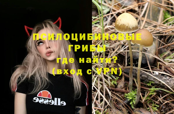 экстази Вяземский