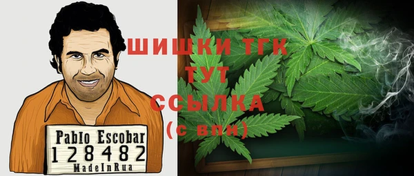 гидропоника Горно-Алтайск